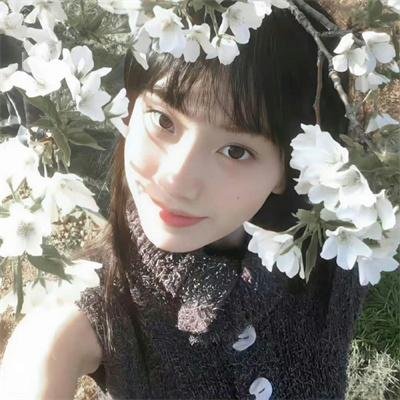 明星大侦探第六季