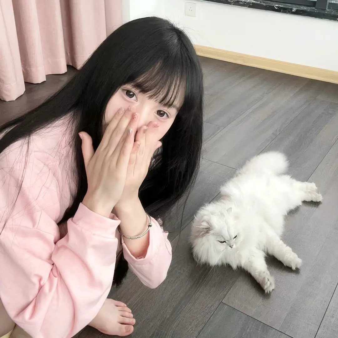 曲象丛生
